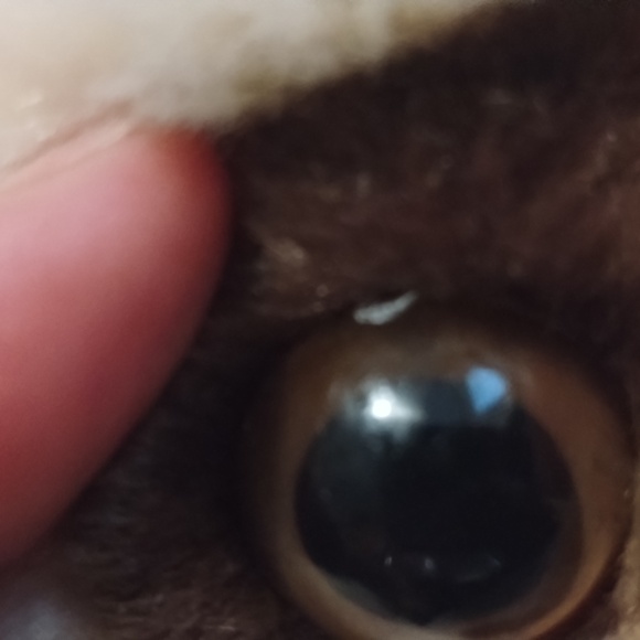 Adventure Planet Sitting Adorable Gray Sloth Bean Bag Soft Plush Toy 12in - Picture 10 of 13